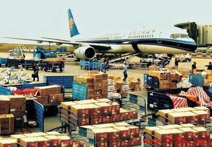 機場FedEx進口清關代理服務詳解與高清流程圖片解析——以上?；蚨謾C械進口清關公司為例