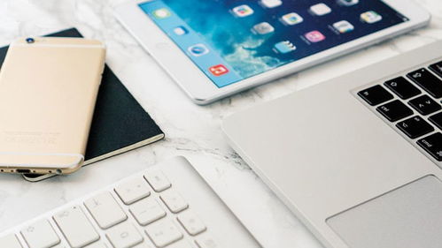 網(wǎng)上商城購(gòu)物系統(tǒng)的建設(shè)問題與技巧